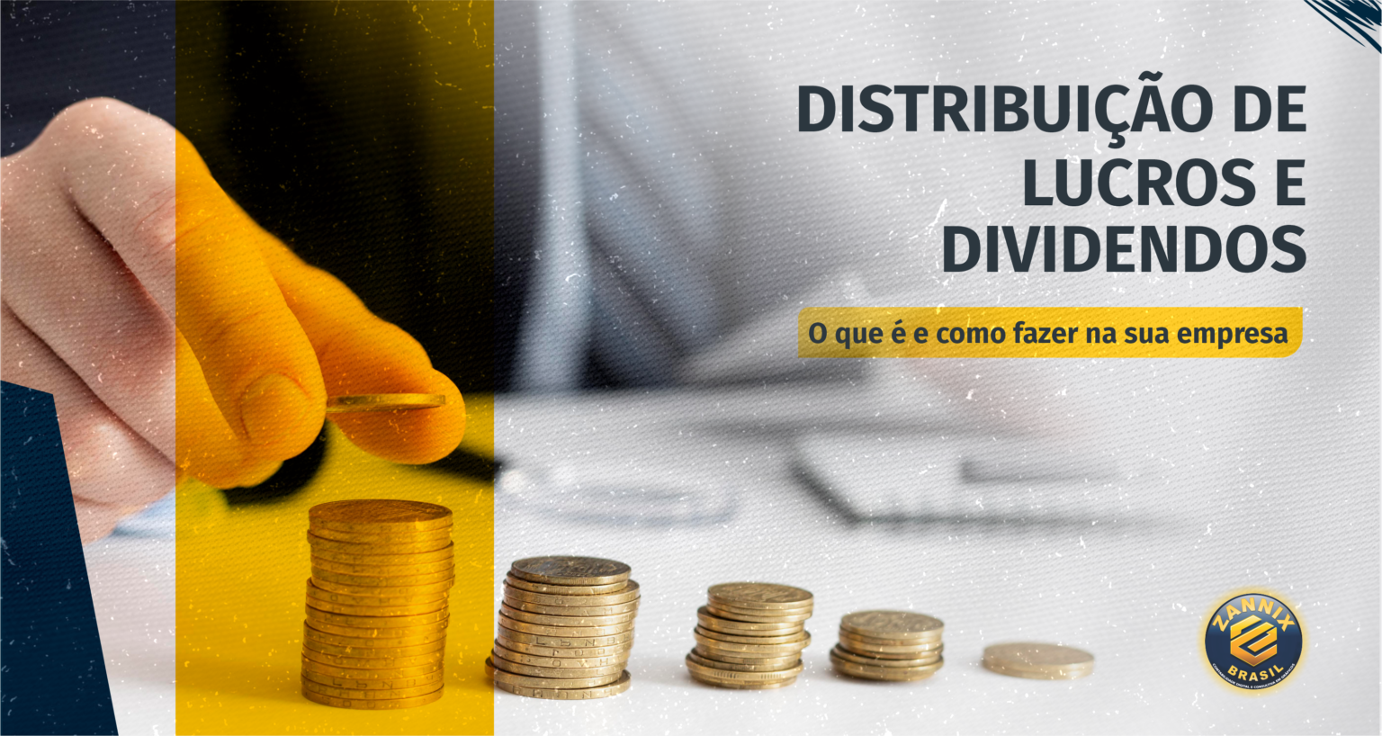 Distribui O De Lucros E Dividendos Zannix Brasil